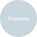 Regain-protein Regain-protein