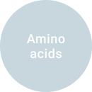 regain-amino regain-amino