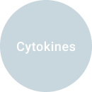 regain-cyto regain-cyto
