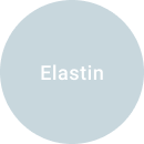 regain-elastin