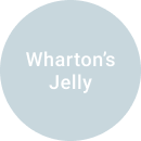 regain-wharton regain-wharton